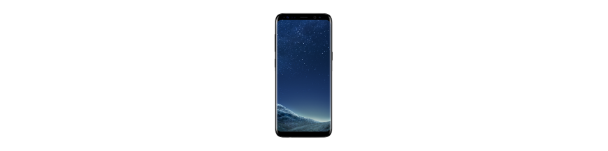 Samsung Galaxy S8 SM-G950F 